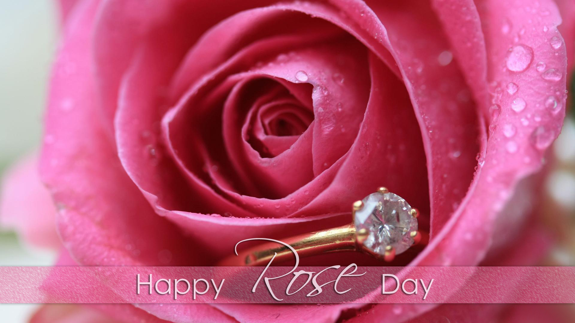 Rose day Whatsapp status & messages for whatsapp and Facebook