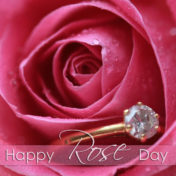 Rose Day Images for Whatsapp DP, Profile Wallpapers – Free Download