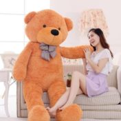Teddy Day Images for Whatsapp DP, Profile