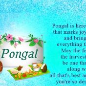 Pongal Whatsapp Status & Messages
