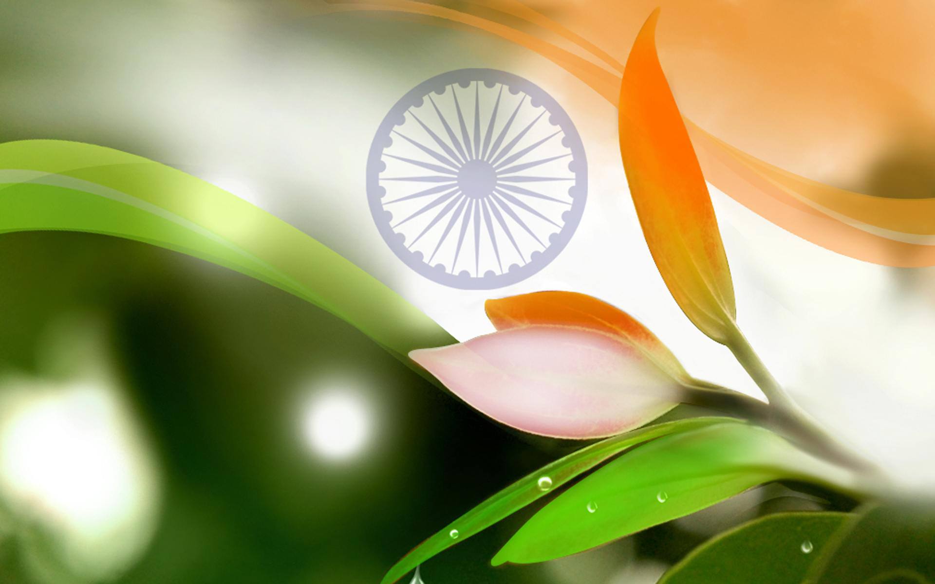Independence Day Whatsapp DP Images & Wallpapers