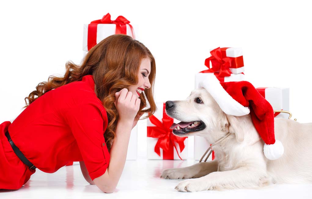 Gift Ideas for Dogs and Dog Parents