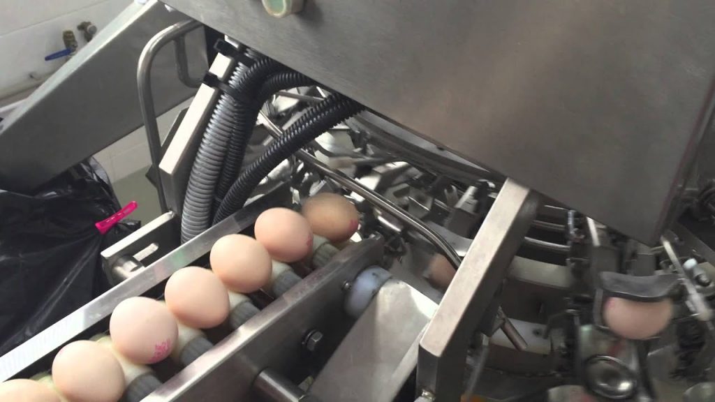 Egg Breaking Machine
