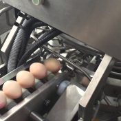 Egg Breaking Machine